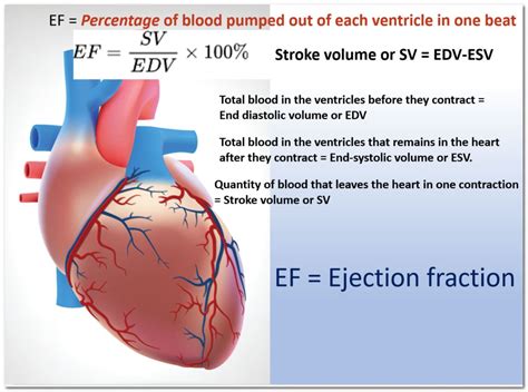 lvef|what does left ventricular ejection fraction mean.